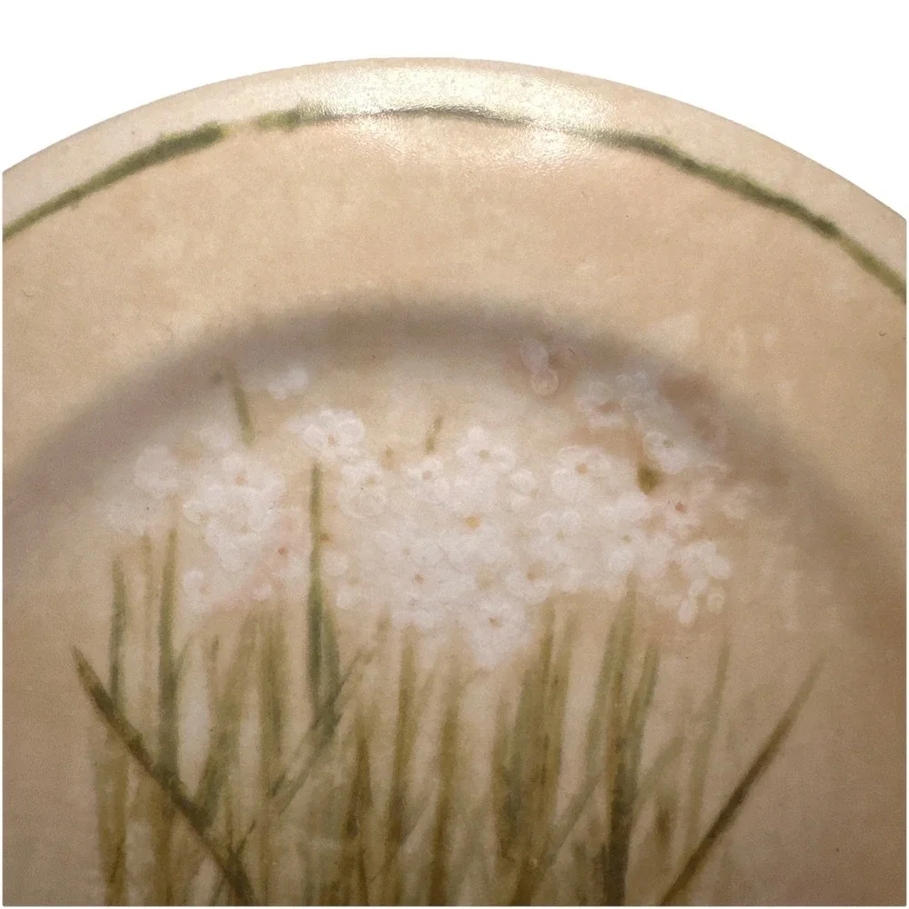 Cheri Blum 222 Fifth Narcissus Set Of 2 Salad Dessert Plates Floral‎ Design